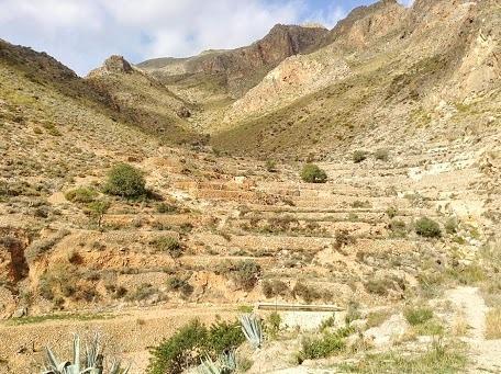 Cortijo El Molino Apartamento"El Balconcito" Níjar Esterno foto